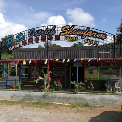 P_D_ Ostrich Show Farm